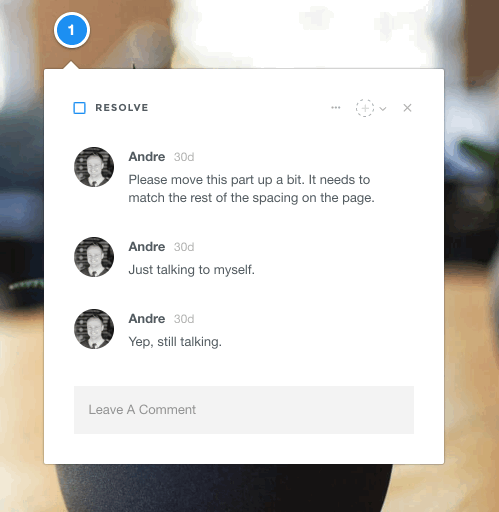 ProjectHuddle assign info